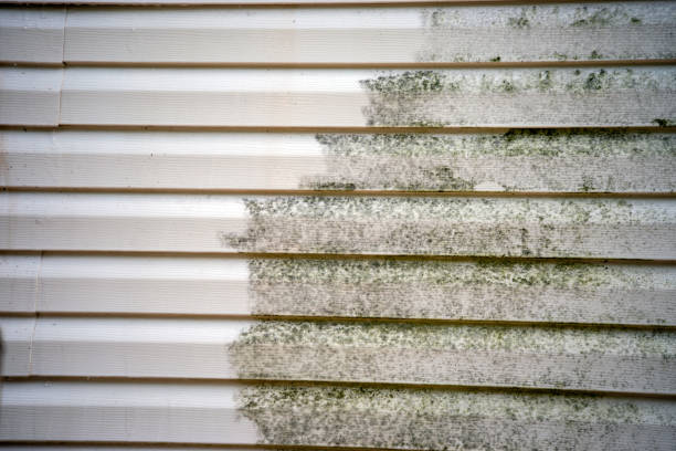 Best Custom Trim and Detailing for Siding  in Four Corners, MT